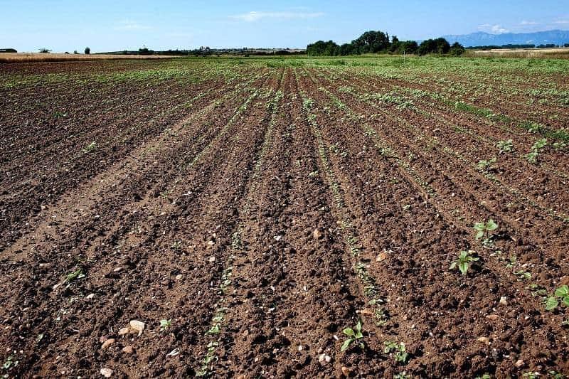 agricultura precisao