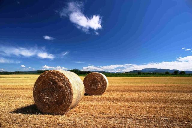 desertifica&ccedil;&atilde;o