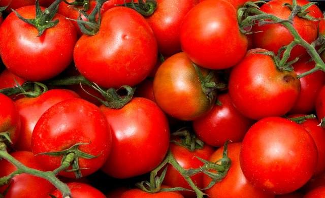 agroalimentar