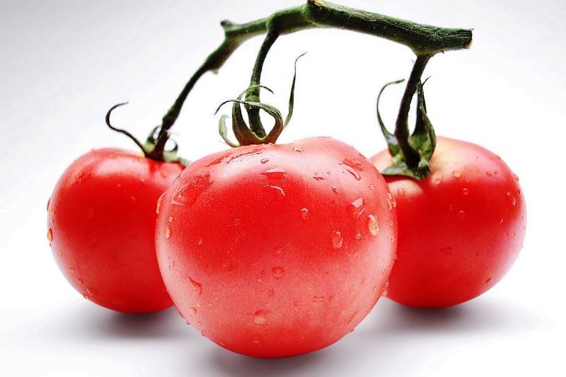 horticultura