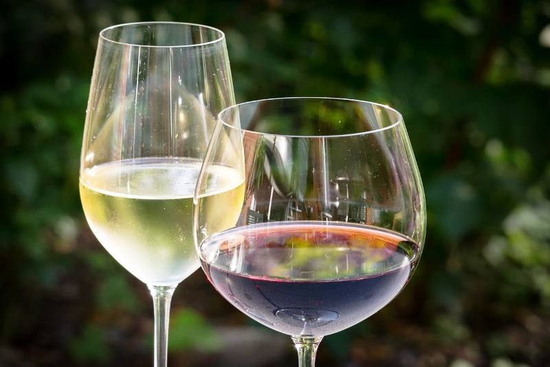 vinhos