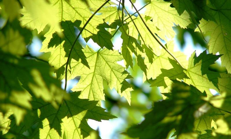 agroambiental