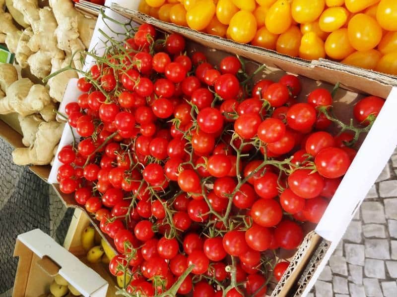 agrobio