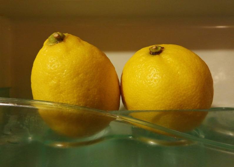 alimentos