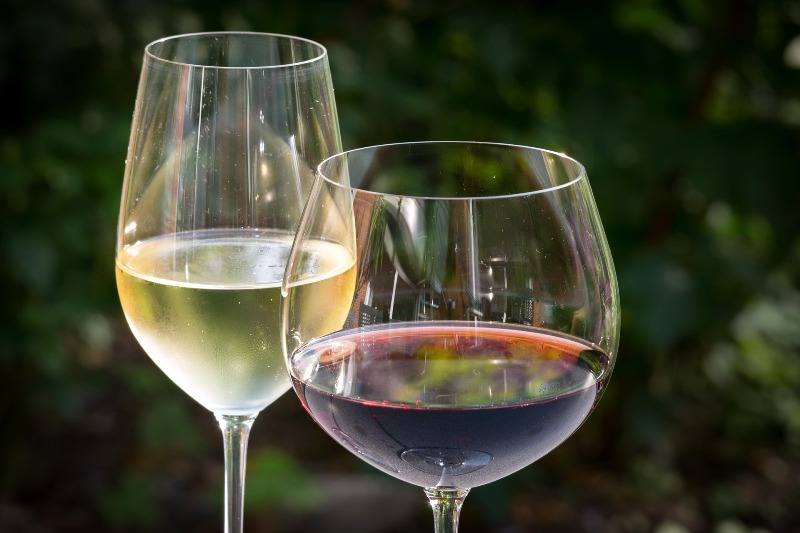 vinhos