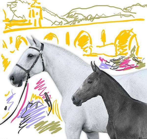 feira do cavalo