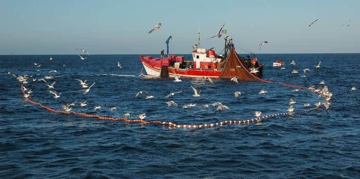 pesca
