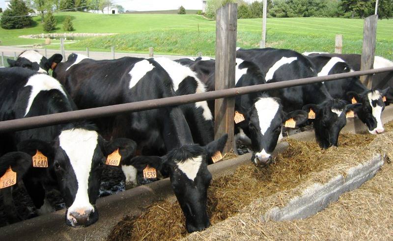 agropecuaria
