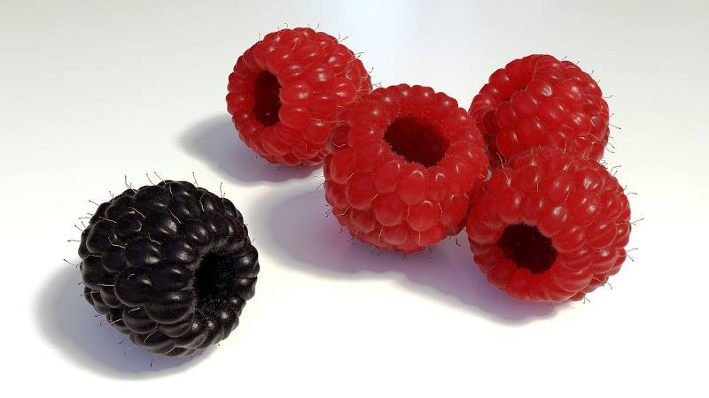 pequenos frutos