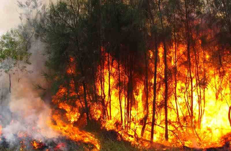 incendio