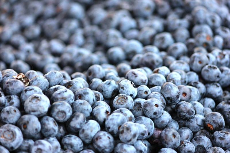 pequenos frutos
