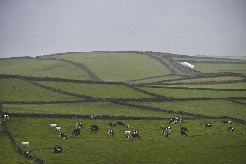 acores