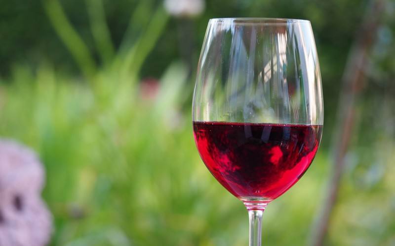 vinhos