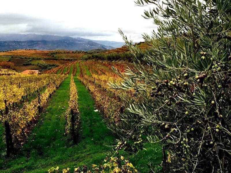 douro