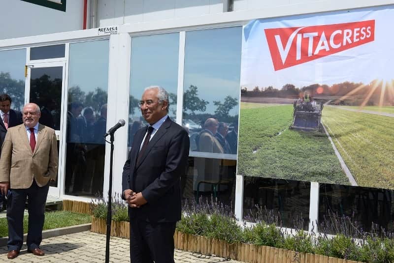 vitacress