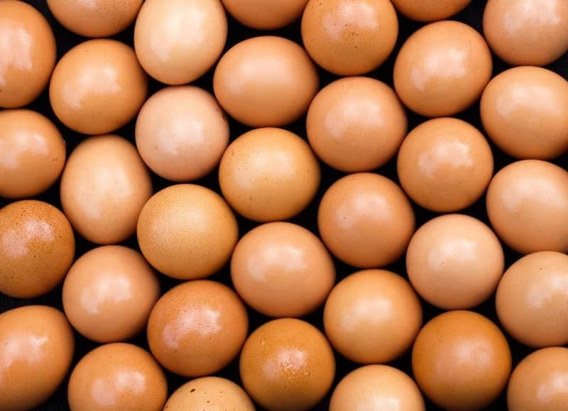 ovos