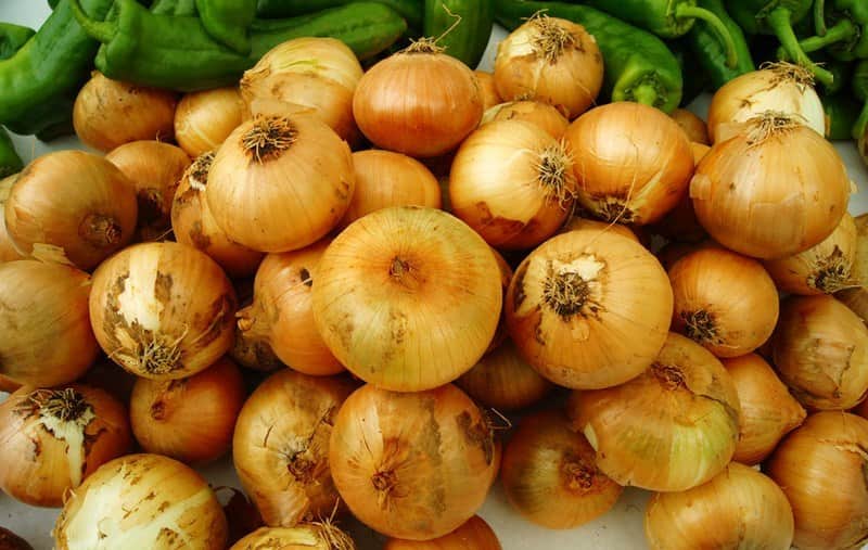 cebolas