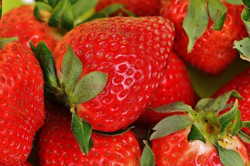 morango