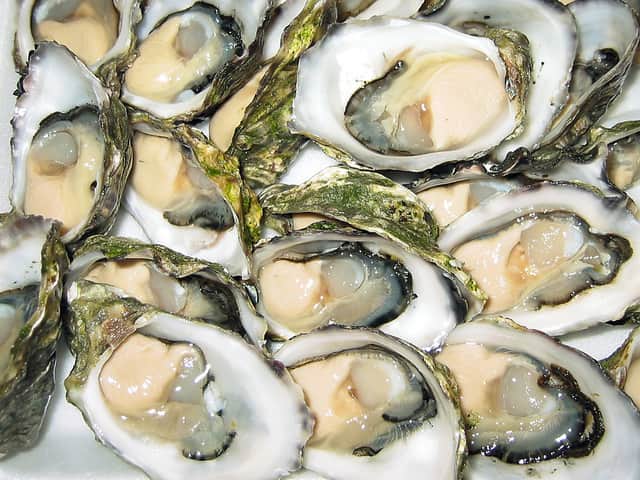 ostras