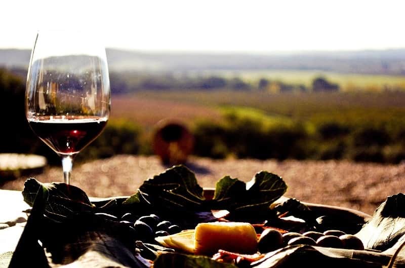 vinhos