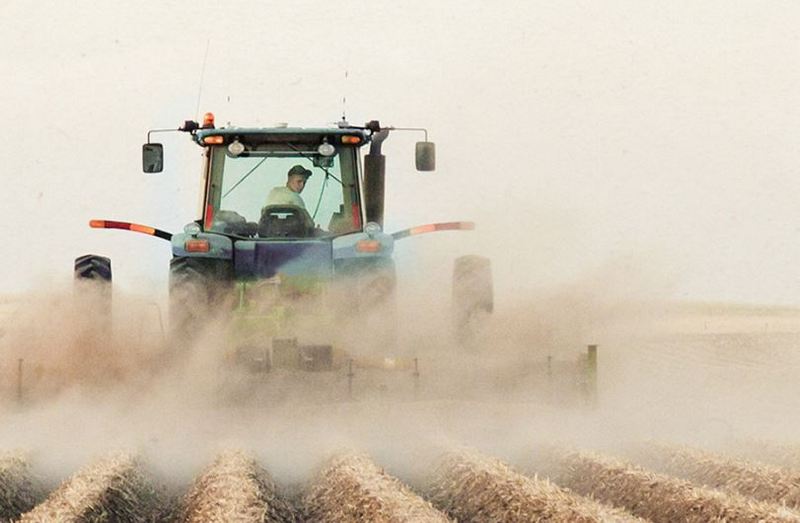 agricultura