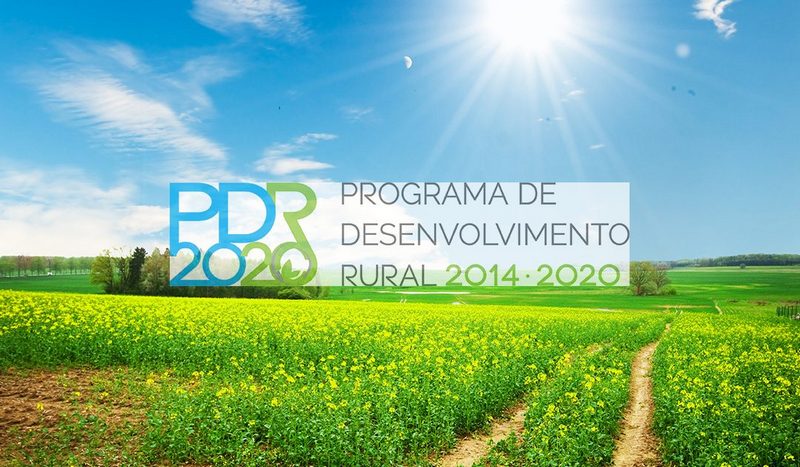pdr