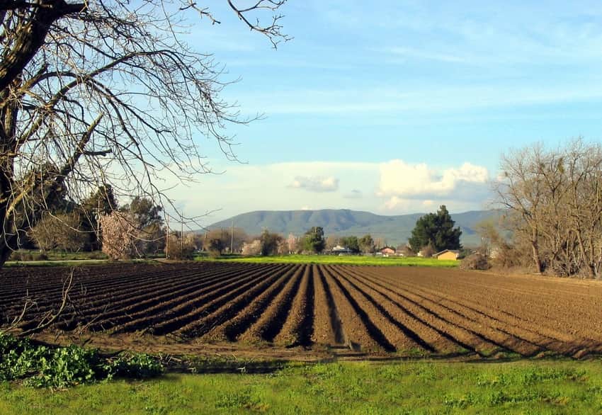 agricultura