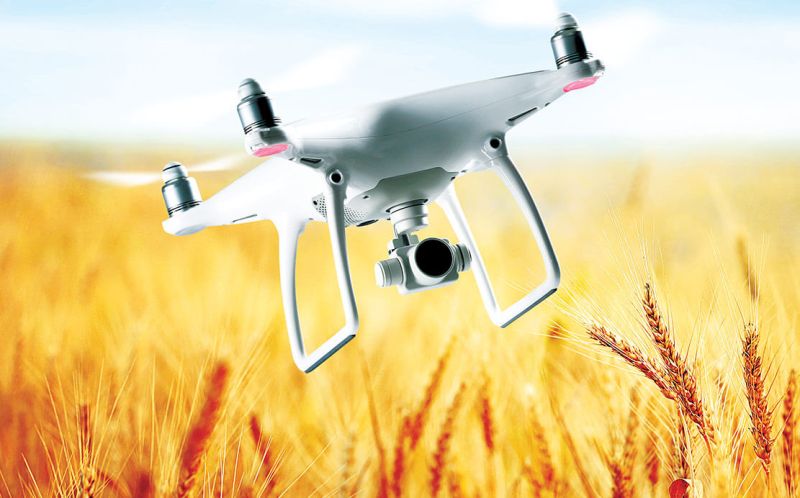 credito agricola