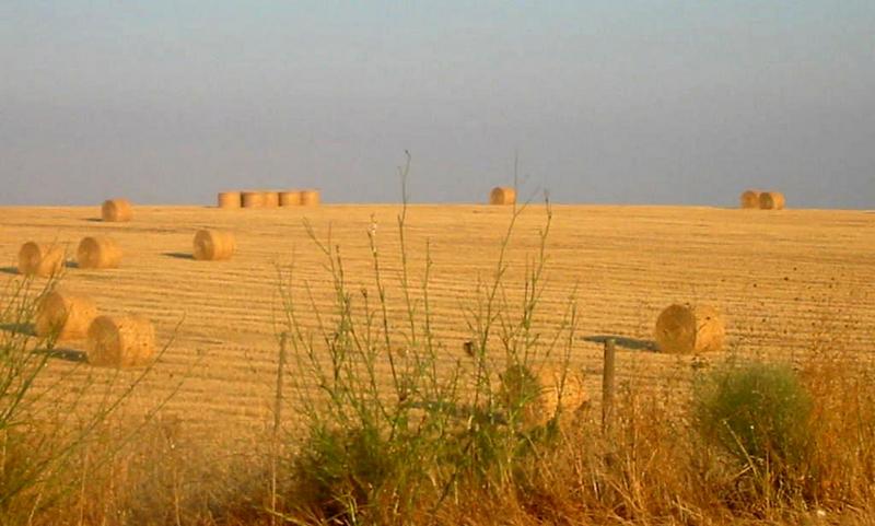 agricultura