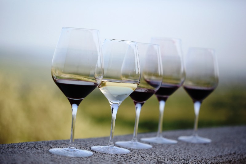 vinhos