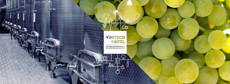vinhos