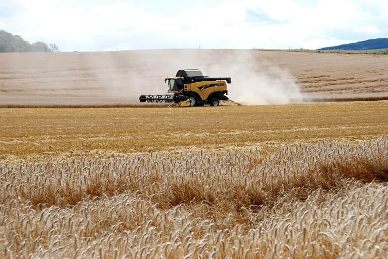 agricultura