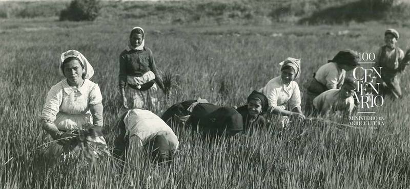 agricultura