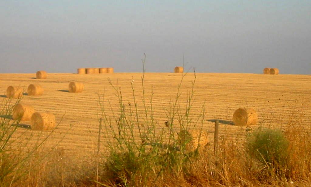 agricultura