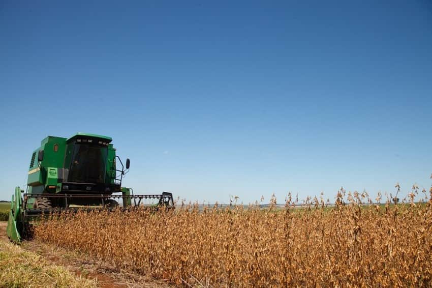 agricultura