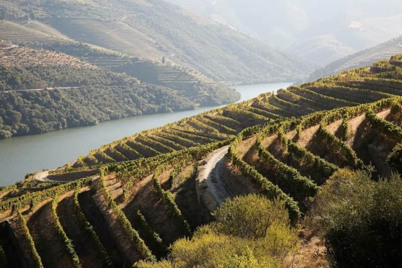 douro