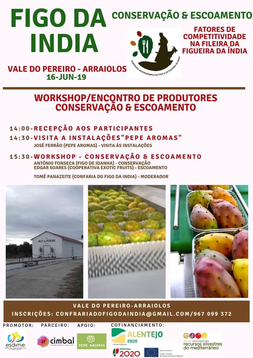 programa