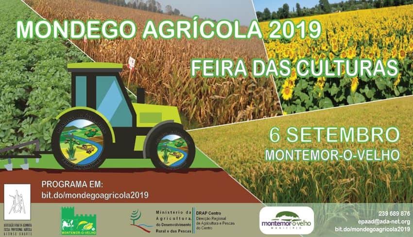 cartaz