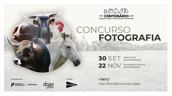 dgav consurso fotografia