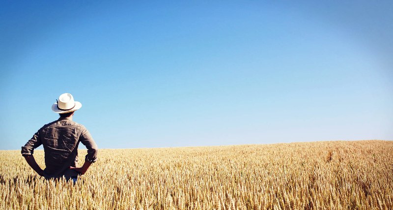 Agricultores menos IRS IRS Agrikcultura
