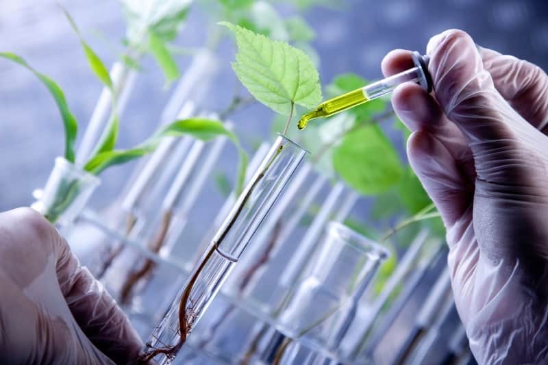 Biotecnologia