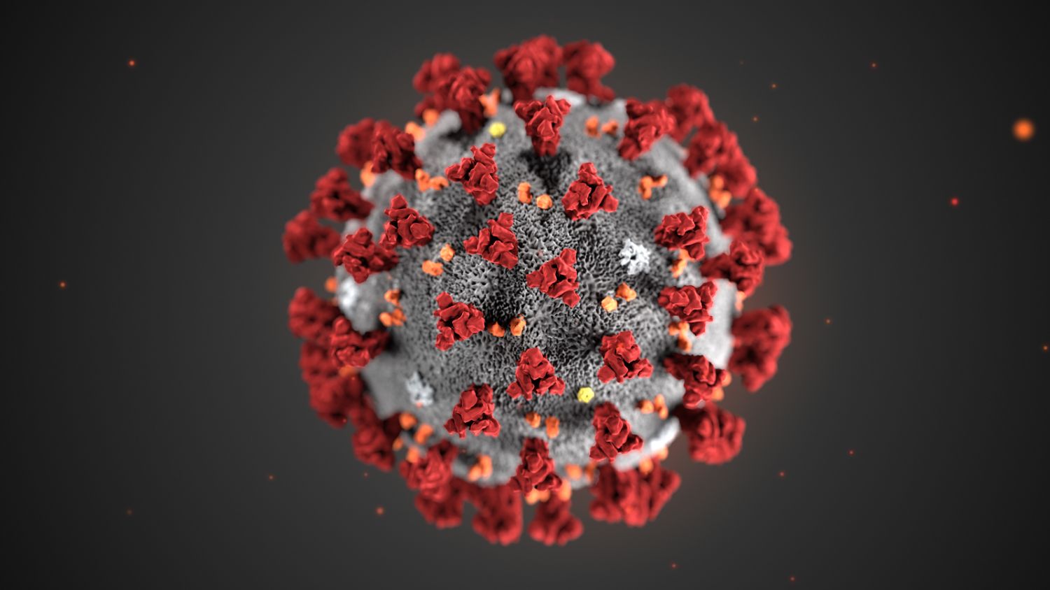 Coronavirus Covid-19