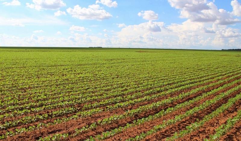 Agricultura