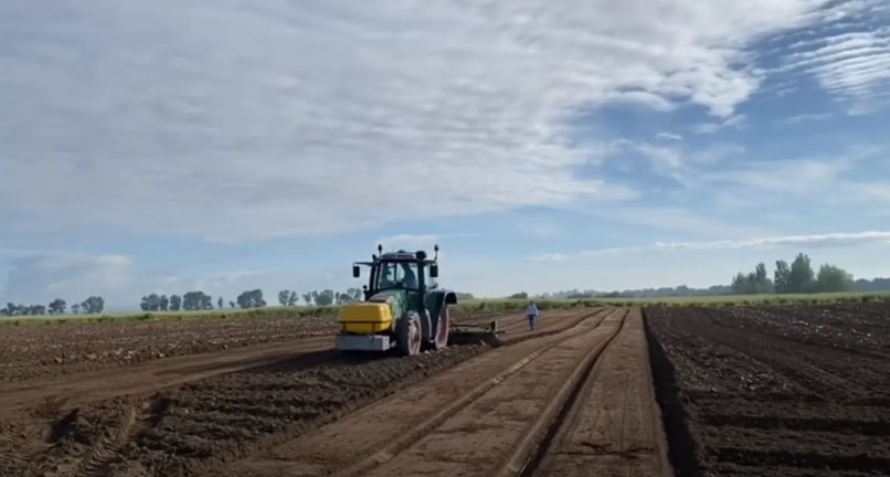 Agroglobal Fresh 52 Cenoura baby