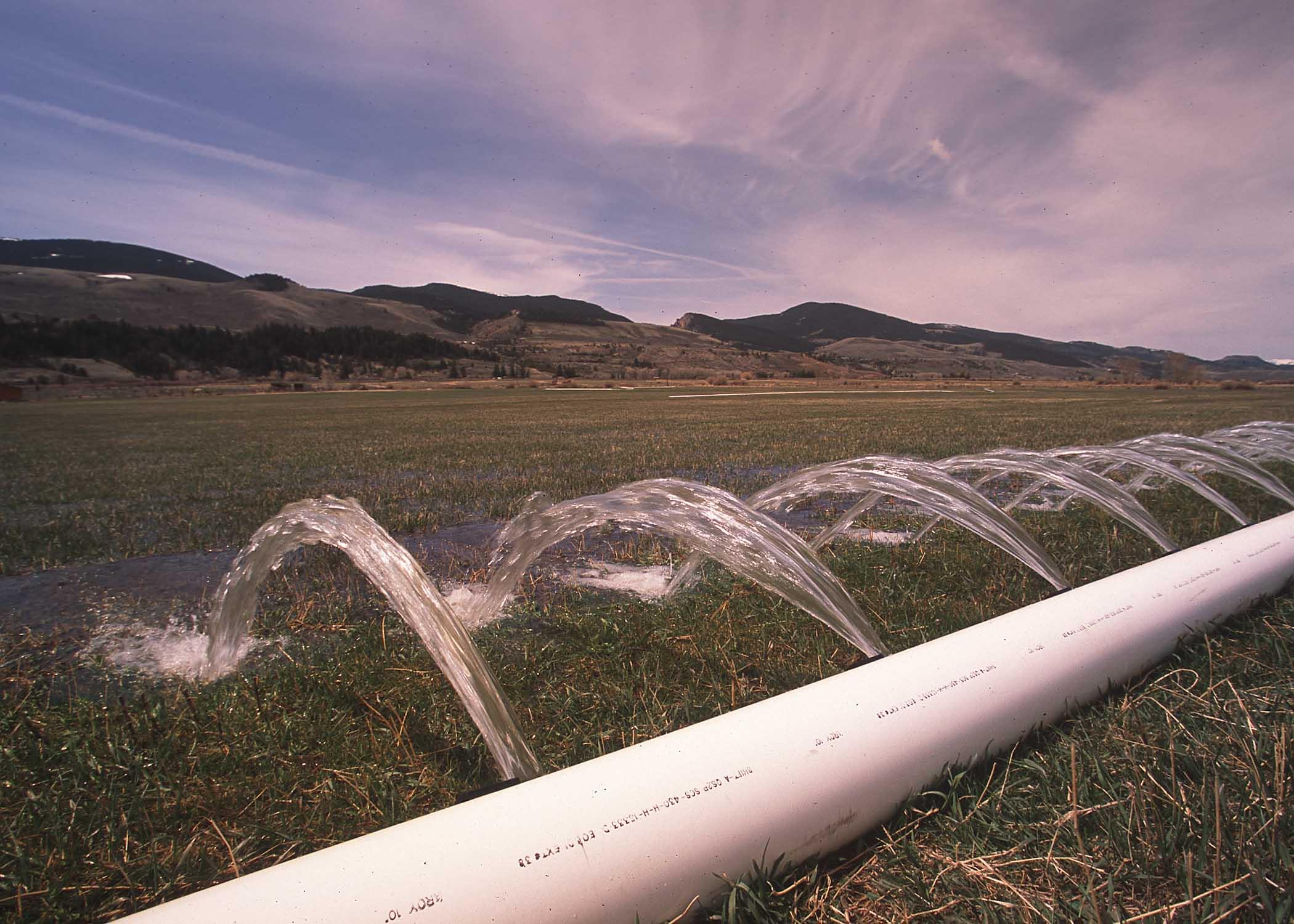 expansão global da irrigação poderia alimentar mais de 800 milhões de pessoas regadio agricultura
