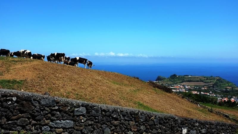 Agricultura