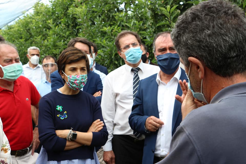 Ministra da Agricultura