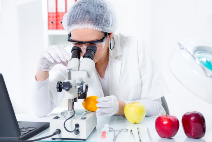 Investigação EIT FOOD women programme