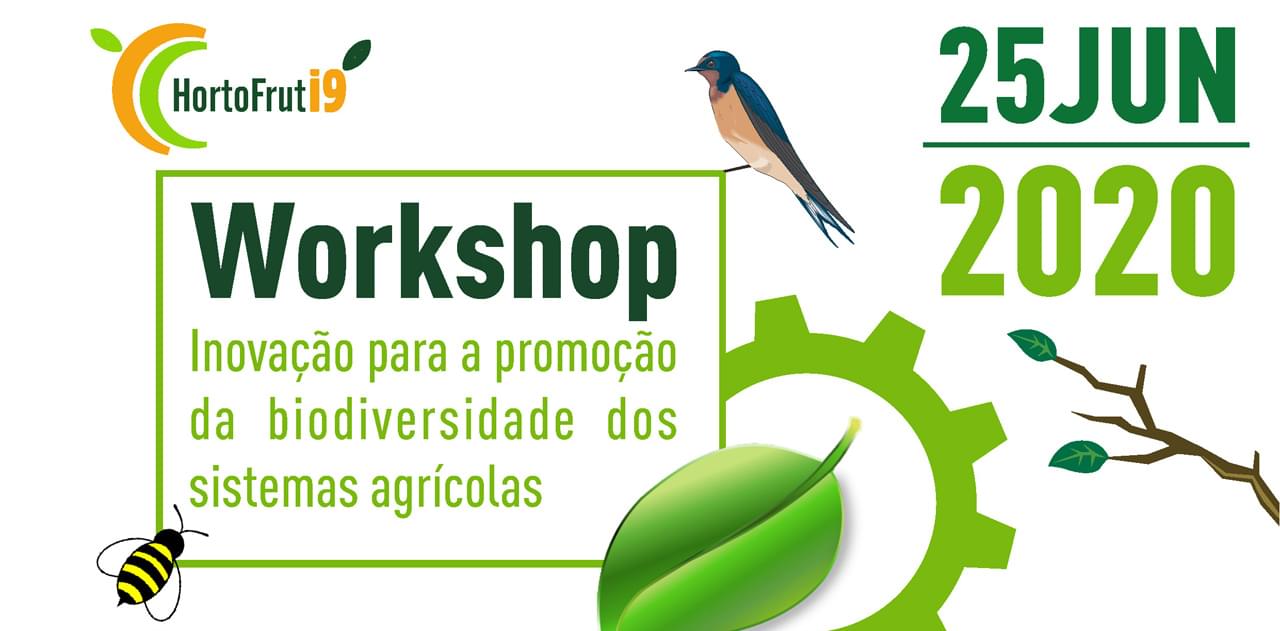 COTHN workshop
