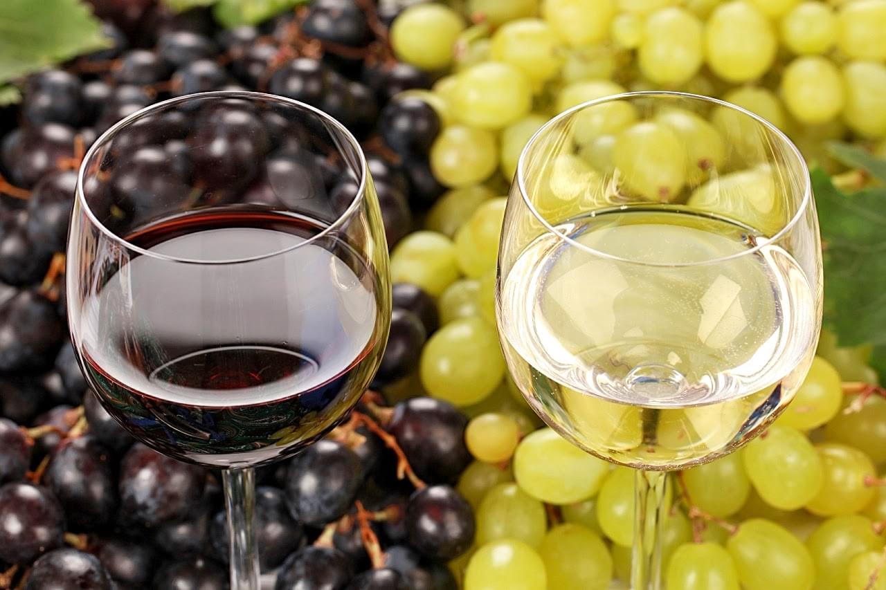 Vinhos